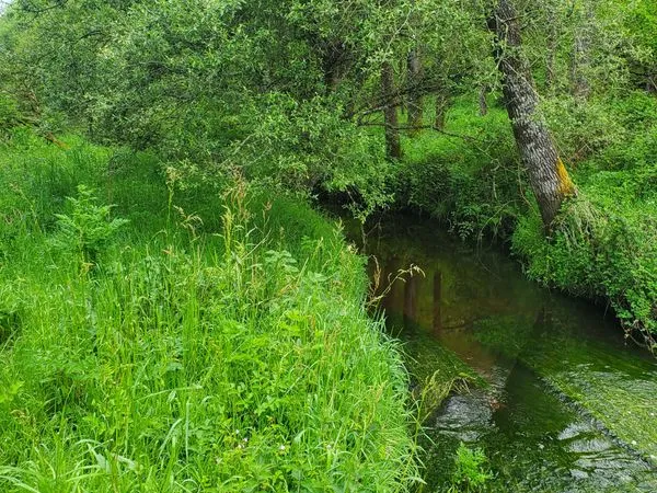 Terrain, loisir , agrément