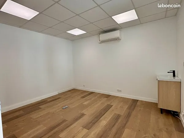 Location Local professionnel