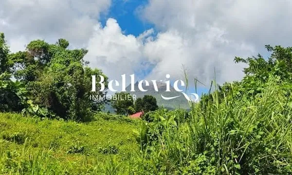 Terrain à bâtir 6785 m²
