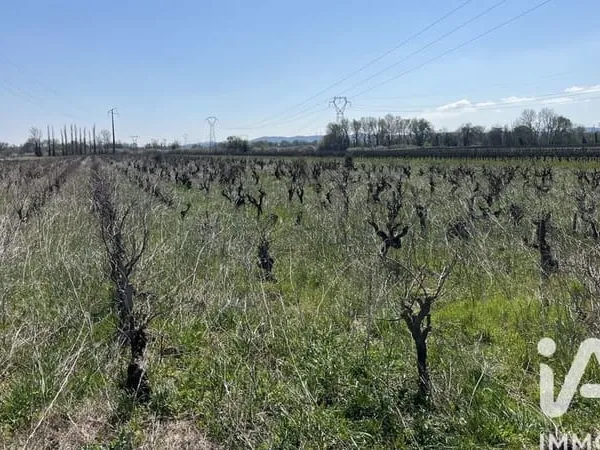 Vente Terrain agricole 5 160 m²