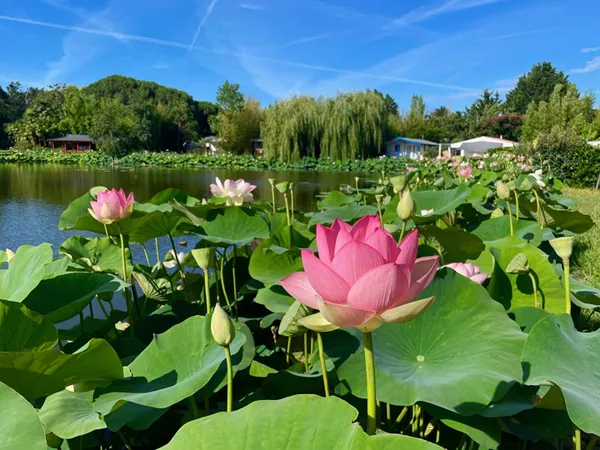CHALET DANS PARC A L'ANNEE