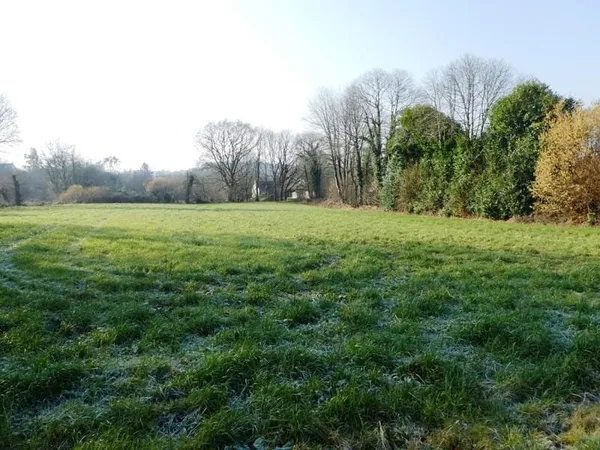 Terrain à bâtir
