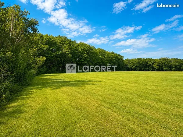 Terrain 45574 m² VACQUIERS