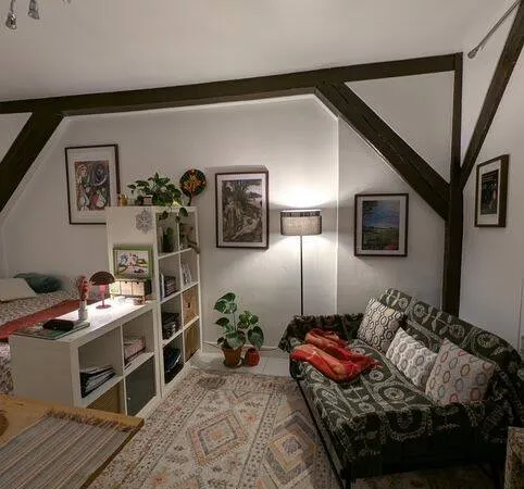 Appartement 1 pièce 20 m²
