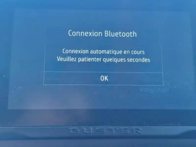 Dacia Duster ii prestige + blue dci 115 4x2 — photo 13