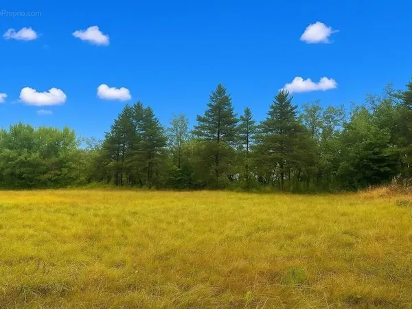 Terrain 2770 m²