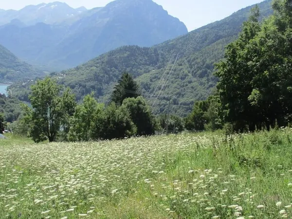TERRAIN VAUJANY
