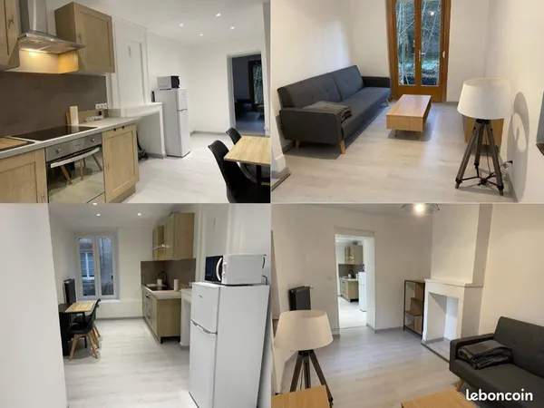 Superbe Appartement meublé T2 , tout confort - Lunéville 54