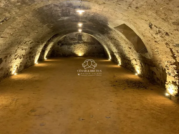 CAVE VOUTEE