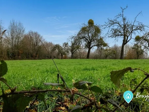 Terrain en individuel 1261 m²