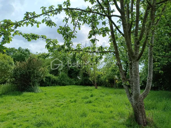 Terrain 436 m²