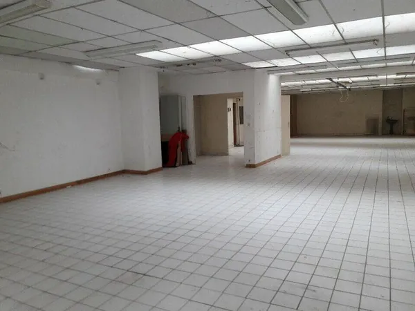 Bureau 283 m²