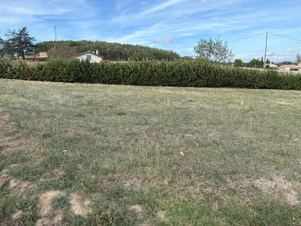 Terrain 1000 m²