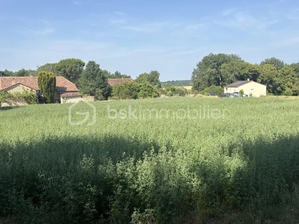 Terrain 2980 m²