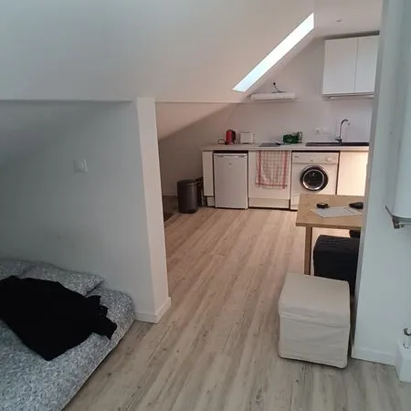Appartement Location Annecy 1p 200m² 548€