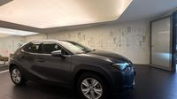 Lexus Ux 250h Pack Business Plus 2WD — photo 4