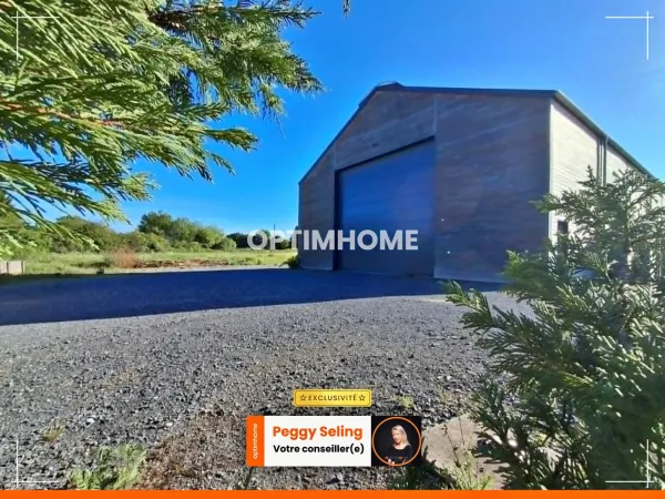 Local 375 m²