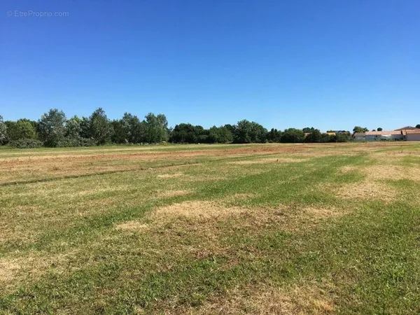 Terrain 548 m²