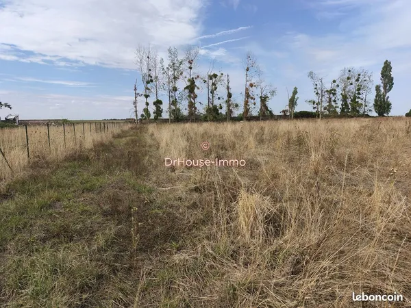 Terrain 1750 m² fescamps