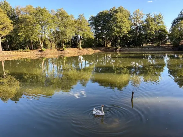 CHATEAU GUIBERT (85) CADRE IDYLLIQUE PARCELLE BOISEE DE LOISIR AVEC ETANG POISSONNEUX SUR 13000M² CL