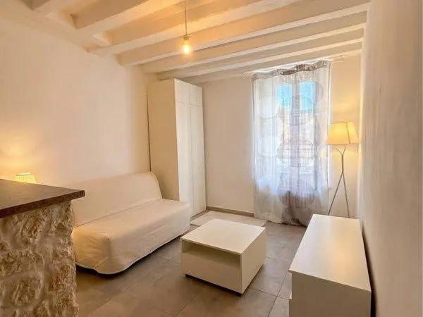 STUDIO 1 PIÈCE MEUBLÉ REFAIT À NEUF 500 HORS CHARGE : 20 m²