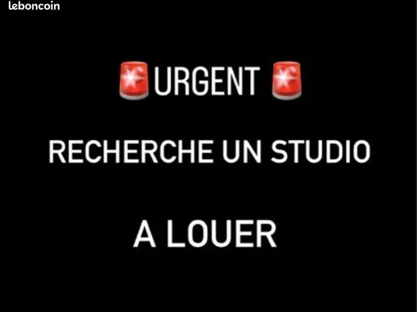 Appartement Location Lyon 1p 20m² 600€