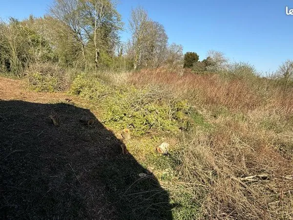 Terrain à bâtir 7000m2