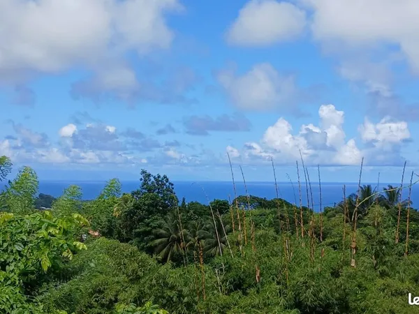 Location de 2 F4 meublés, vue mer et jardin, au Marigot (6 CH)