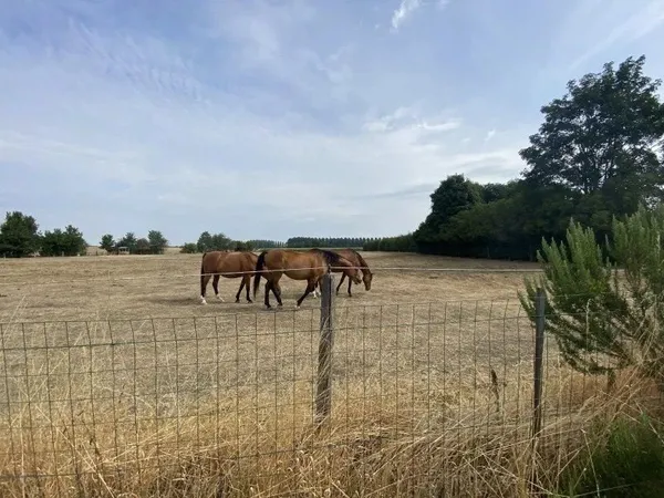 Terrain 626 m²