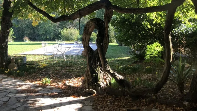 Photo 4