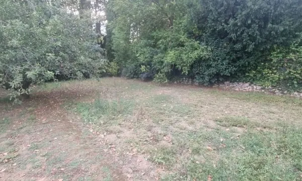 Terrain constructible