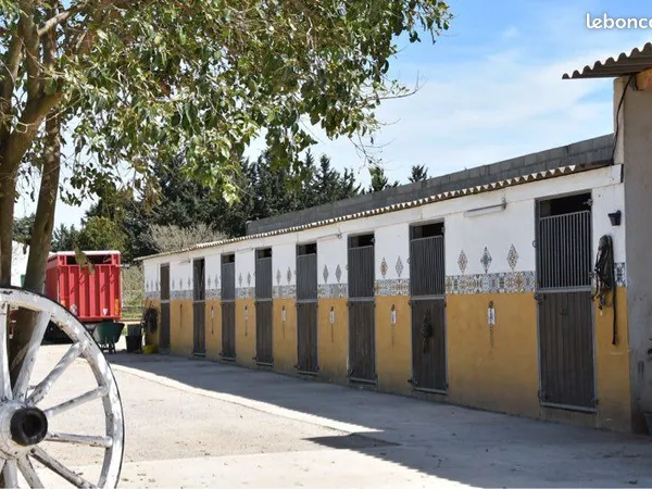 Bien agricole et foncier Vente Aimargues 80m² 450000€