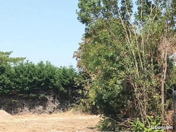 Terrain 1 261 m² Nieul Sur Mer