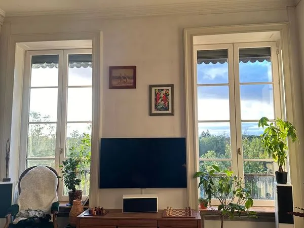 Appartement meublé 80 m² - vue rhône - proche parc tête d'or - 1 600 cc