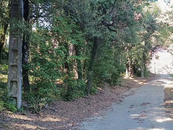 Terrain 1490 m²