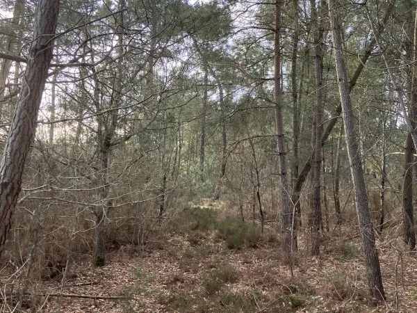 Terrain 5213 m²
