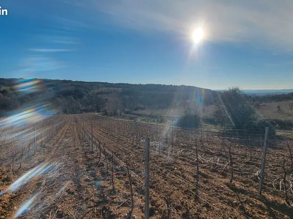Bien agricole et foncier Vente Aspiran  20000m² 25000€