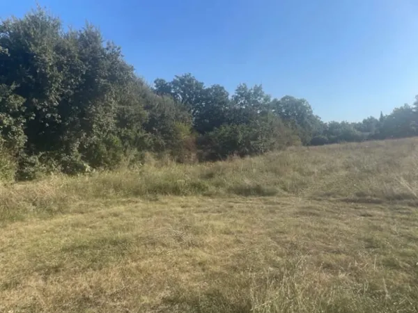 Terrain + maison Vente Alleins 290000€